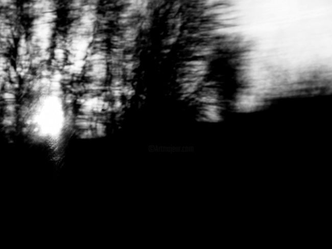 Photography titled "Trees in Train" by Neonitrus, Original Artwork
