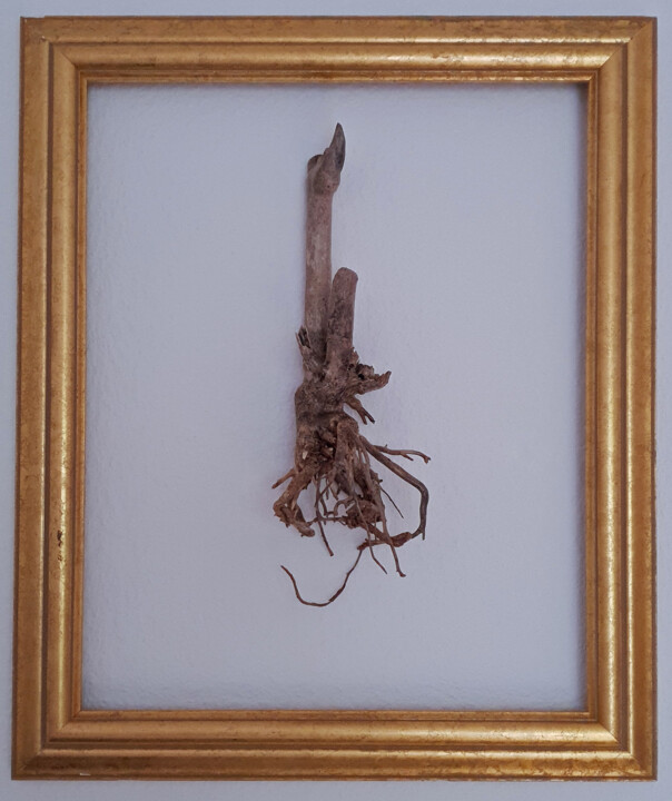 Sculpture titled "Dry" by Nevenka Spasic-Thater, Original Artwork, Wood