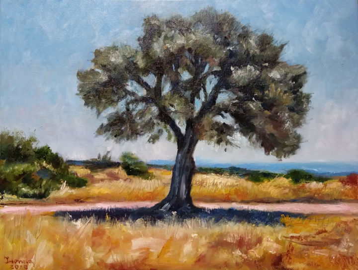 Pittura intitolato "Olive tree in medit…" da Iwonna Salak, Opera d'arte originale, Olio