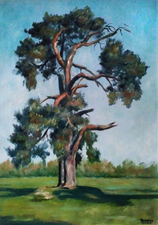 Pittura intitolato "Pine tree" da Iwonna Salak, Opera d'arte originale, Olio