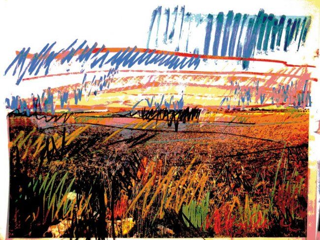 Arte digitale intitolato "CAMPO-FIORITO---60x…" da Nichy, Opera d'arte originale