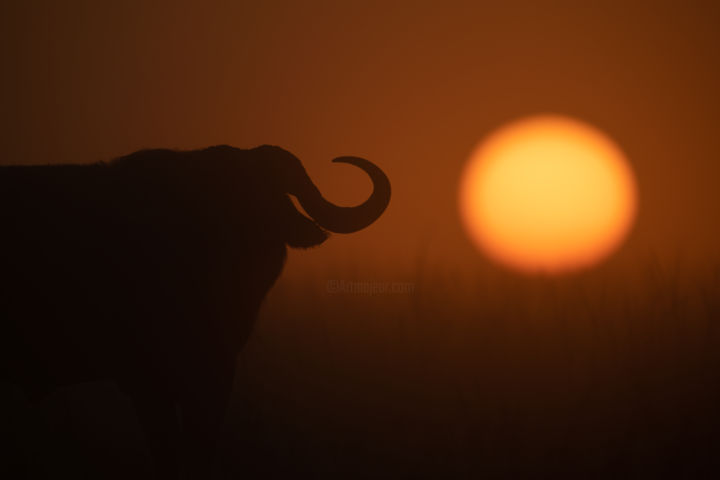 Фотография под названием "Horn of Africa" - Nick Dale, Подлинное произведение искусства, Цифровая фотография