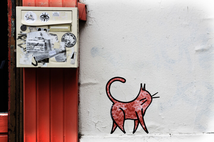 Photography titled "Le chat rouge." by Nico Cofu Arach, Original Artwork