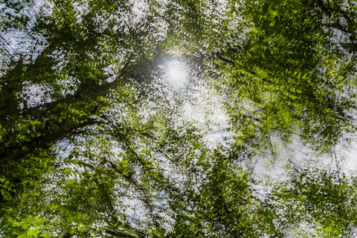 Photographie intitulée "Divine nature" par Nicolas Bernié, Œuvre d'art originale, Photographie non manipulée