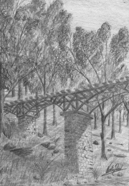 Dibujo titulada ""El bosque" (05)" por Nicolas David Correa, Obra de arte original, Carbón