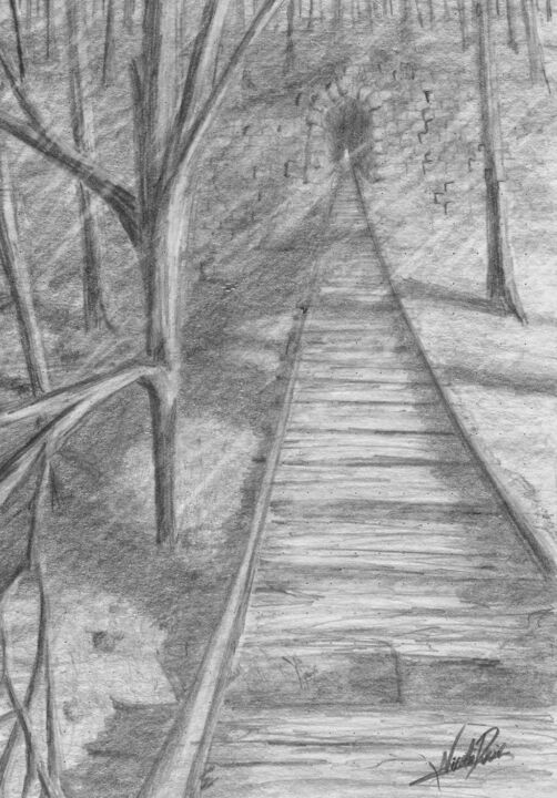 Dibujo titulada ""El Bosque" (6)" por Nicolas David Correa, Obra de arte original, Carbón