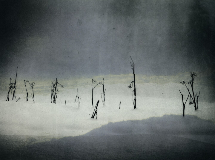 "Mont Analogue X" başlıklı Fotoğraf Nicolas Espinasse tarafından, Orijinal sanat, Analog Fotoğrafçılık