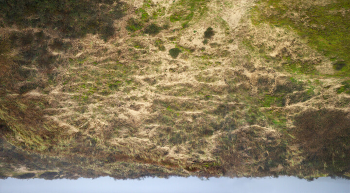 Fotografía titulada "série "envers" 15" por Nicolas Lespagnol, Obra de arte original, Fotografía no manipulada Montado en Al…