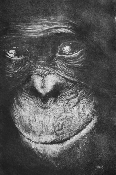 Рисунок под названием "Singe #1" - Nicolas Maire, Подлинное произведение искусства, Древесный уголь