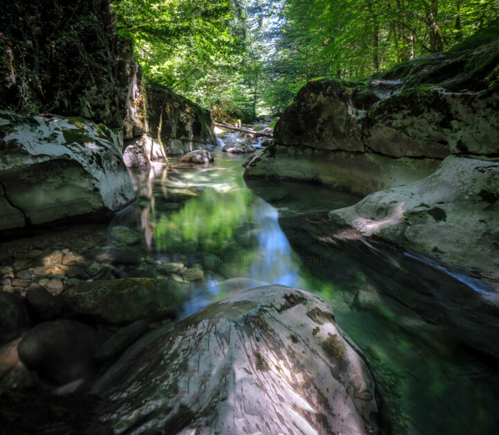 Photographie intitulée "River II Ruisseau d…" par Nicolas Sorel, Œuvre d'art originale, Photographie non manipulée