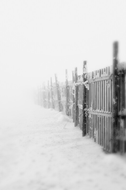 제목이 "Winter II"인 사진 Nicolas Sorel로, 원작, 조작되지 않은 사진