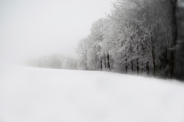 Photographie intitulée "Winter IV" par Nicolas Sorel, Œuvre d'art originale, Photographie non manipulée