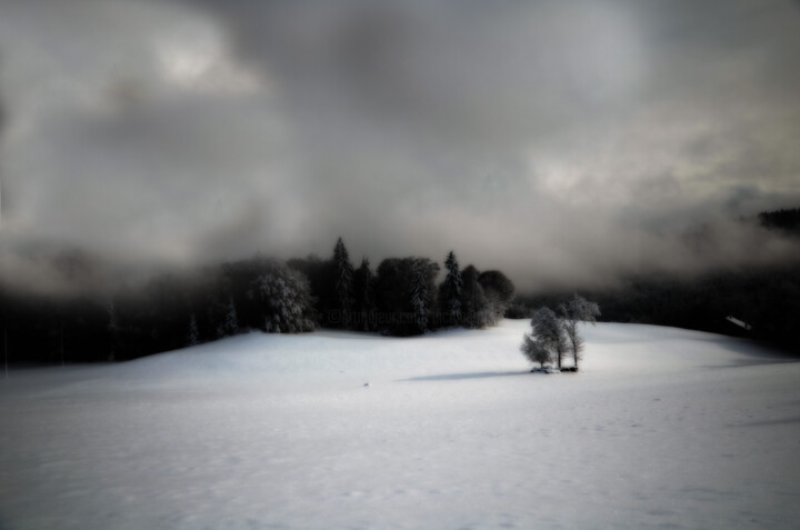 Photographie intitulée "Winter VIII" par Nicolas Sorel, Œuvre d'art originale, Photographie non manipulée