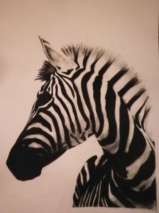 Drawing titled "Zèbre 3" by Nicolas Neyman, Original Artwork, Pastel