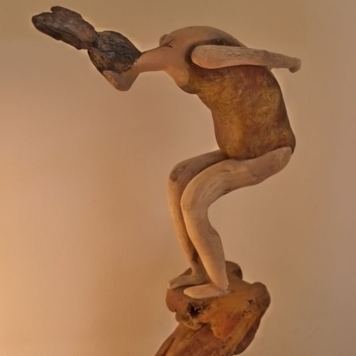 Sculptuur getiteld "p1010119-800x800.jpg" door Nicole Agoutin, Origineel Kunstwerk