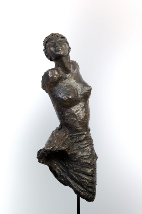 Sculpture intitulée "ENVOL 15" par Nicole Besnainou, Œuvre d'art originale, Bronze