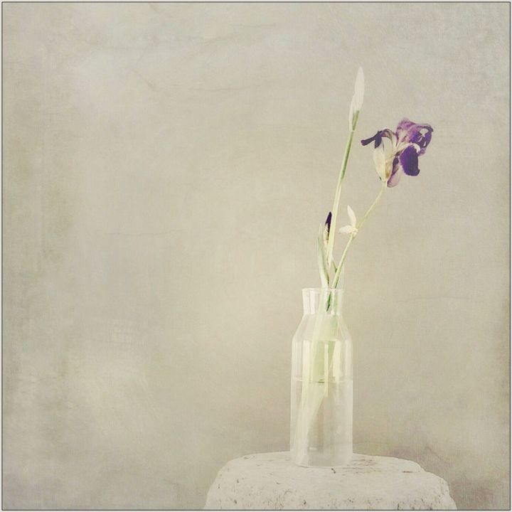 Fotografie mit dem Titel "Bouquet 10" von Nicole Rochedix, Original-Kunstwerk, Digitale Fotografie