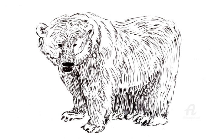 Drawing titled "Polar Bear" by Niina Niskanen, Original Artwork, Marker