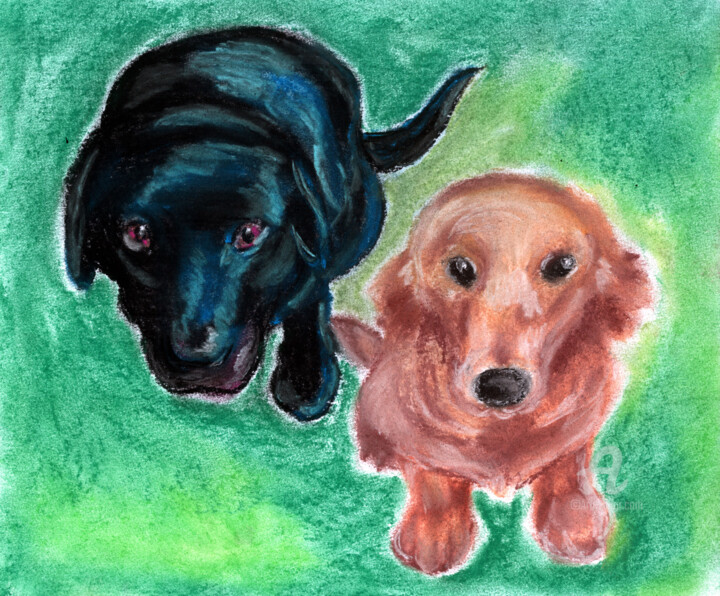 Drawing titled "Puppy Eyes" by Niina Niskanen, Original Artwork, Chalk