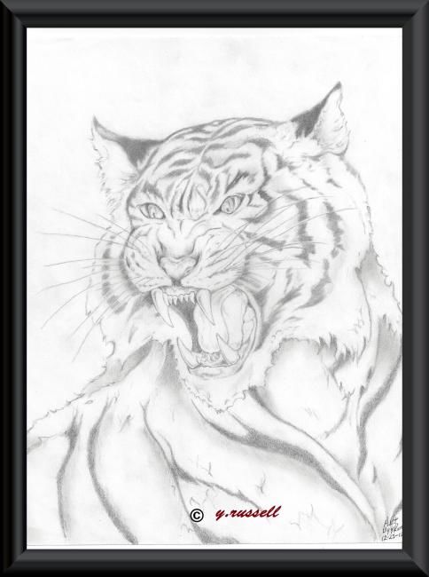 Dessin intitulée "Tiger" par Yancey Russell, Œuvre d'art originale