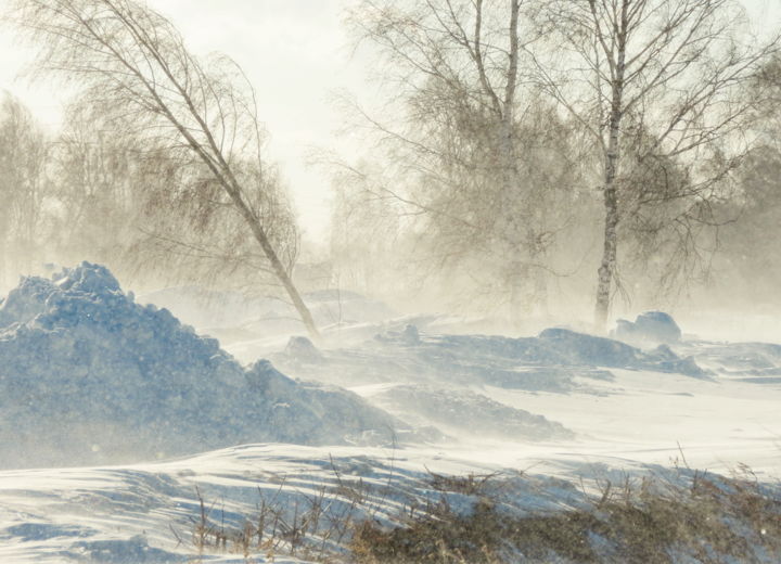 Фотография под названием "Мартовская поземка" - Николай Матюшенков, Подлинное произведение искусства