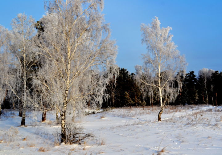 Фотография под названием "В начале зимы" - Николай Матюшенков, Подлинное произведение искусства