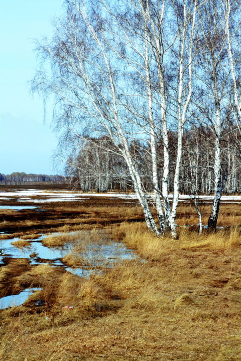 Photographie intitulée "Весны раздолье" par Nikolai Matiushenkov, Œuvre d'art originale