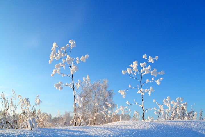 Photographie intitulée "Морозным утром" par Nikolai Matiushenkov, Œuvre d'art originale