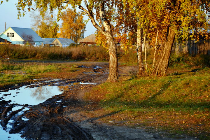 Photography titled "После дождя" by Nikolai Matiushenkov, Original Artwork