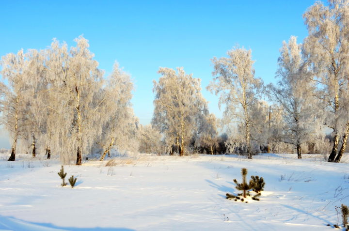 「Зимы рисунок」というタイトルの写真撮影 Николай Матюшенковによって, オリジナルのアートワーク