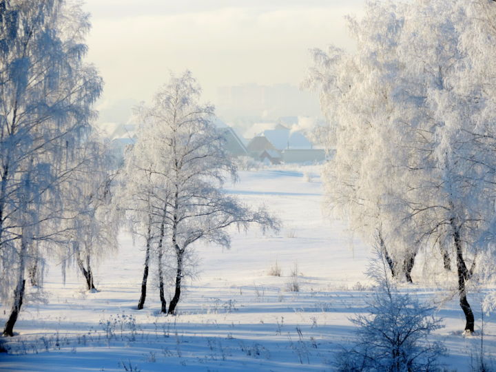 Фотография под названием "В дымке морозной" - Николай Матюшенков, Подлинное произведение искусства