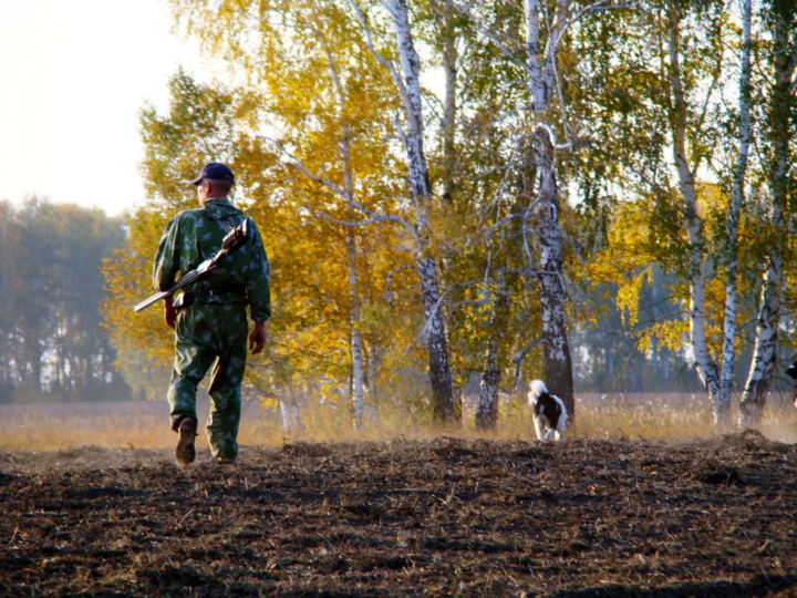 Photography titled "В сезон охоты" by Nikolai Matiushenkov, Original Artwork