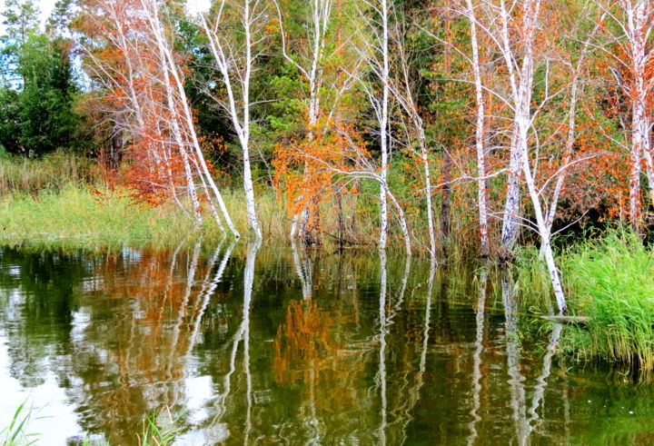 Photography titled "Осеннее зеркало" by Nikolai Matiushenkov, Original Artwork