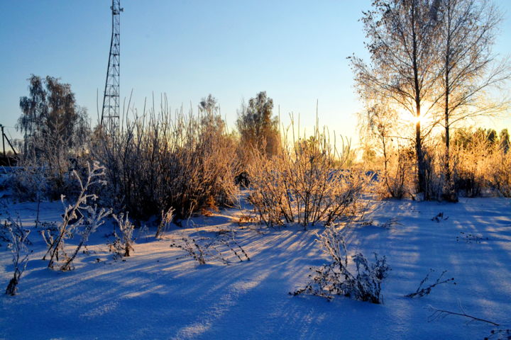 摄影 标题为“Зимним утром” 由Николай Матюшенков, 原创艺术品