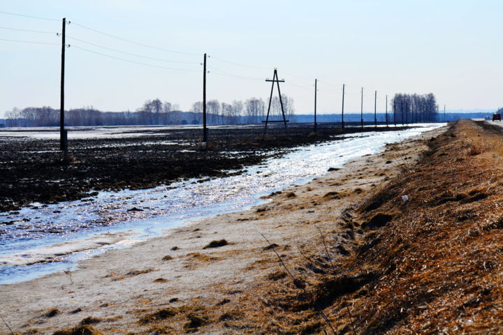 Photography titled "На Алтае весна" by Nikolai Matiushenkov, Original Artwork