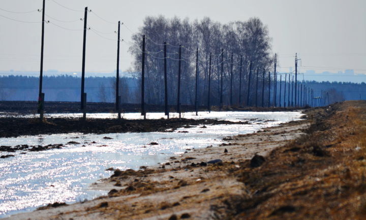 Fotografia zatytułowany „И снова весна” autorstwa Николай Матюшенков, Oryginalna praca