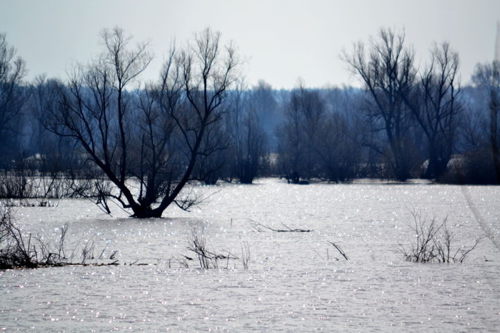 Photography titled "Весенняя вода" by Nikolai Matiushenkov, Original Artwork