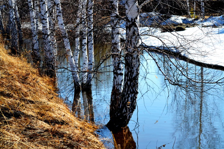 Photography titled "Весеннее наваждение" by Nikolai Matiushenkov, Original Artwork