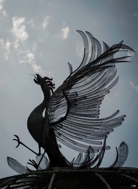 Fotografia zatytułowany „Le Phoenix” autorstwa Nikam Zeiss, Oryginalna praca