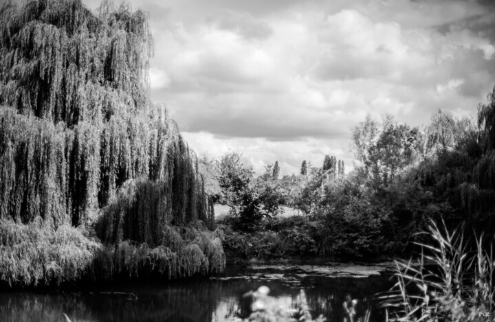 Фотография под названием "Le jardin fantastiq…" - Nikam Zeiss, Подлинное произведение искусства