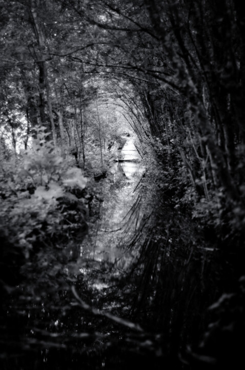 Photographie intitulée "Ombres et lumières I" par Nikam Zeiss, Œuvre d'art originale, Photographie numérique