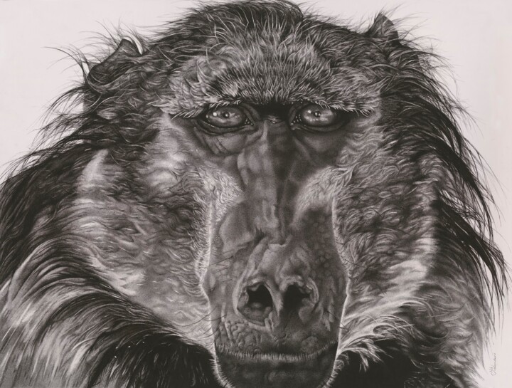 Dessin intitulée "Baboon" par Niki Saunders, Œuvre d'art originale, Encre