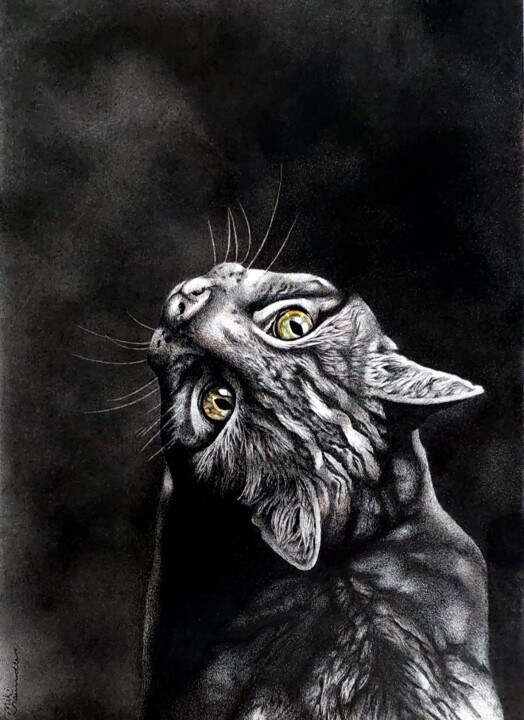 Drawing titled "African Wild Cat" by Niki Saunders, Original Artwork, Ink Mounted on Cardboard