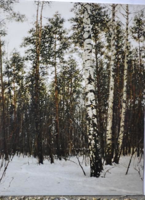 Ζωγραφική με τίτλο "Березки зимой" από Юрий Викторович Николаев, Αυθεντικά έργα τέχνης