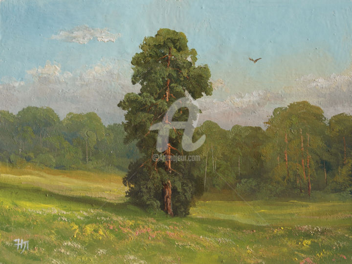 Painting titled "Lonely pine. Summer…" by Nikolay Lyamin, Original Artwork, Oil