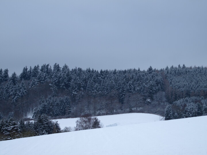 摄影 标题为“Winter in Deutschla…” 由Nikolay Maruskin, 原创艺术品, 数码摄影