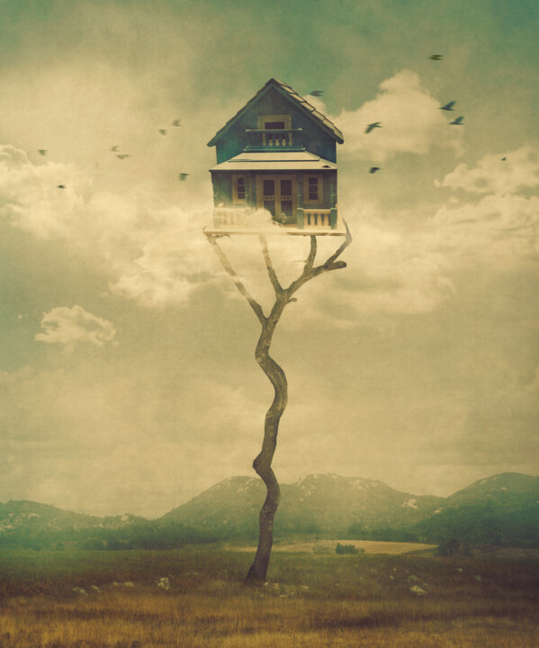 Digitale Kunst mit dem Titel "Bird House, medium,…" von Nikolina Petolas, Original-Kunstwerk
