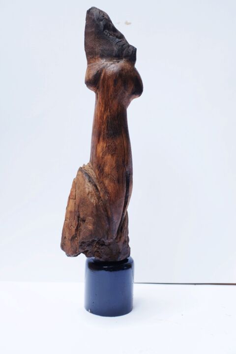 Escultura intitulada "Abstract wood Femal…" por Nilupul Jayathunga, Obras de arte originais, Madeira