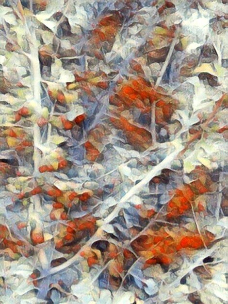 Digitale Kunst mit dem Titel "Abstract berry patt…" von Nina Sagemerten, Original-Kunstwerk, Fotomontage