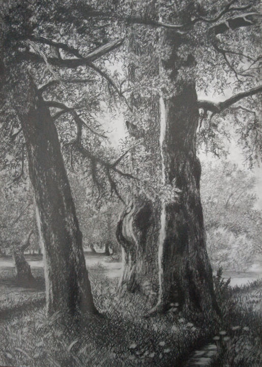 Drawing titled "Trees" by Nino Gudadze, Original Artwork, Pencil